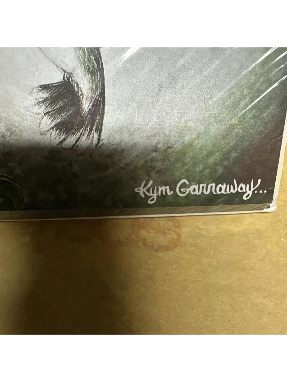 Kym Garraway Artist Hummingbird Greeting Cards 8 Pack Blank Inside USA Made